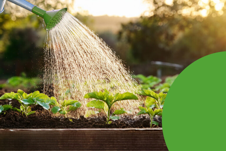 Vlbook Review: How India’s Innovative Digital Library is Transforming Reading and Learning